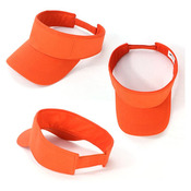 Visor